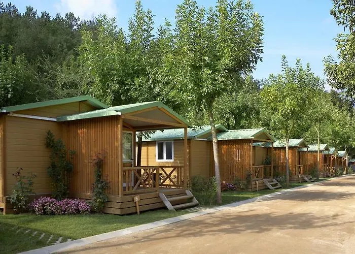 Taiga Bassegoda Park 5*