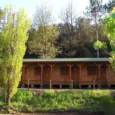 Taiga Bassegoda Park Kemp Albanya
