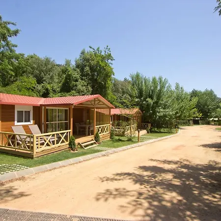 Taiga Bassegoda Park Kemp Albanya