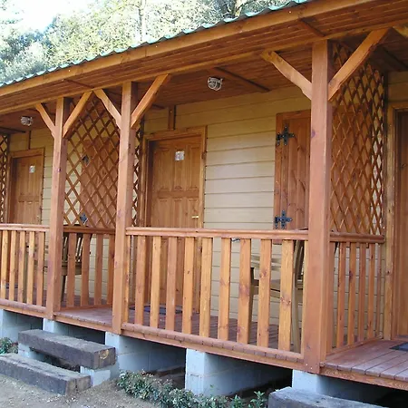 Kemp Taiga Bassegoda Park 5*