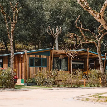 Taiga Bassegoda Park Albanya