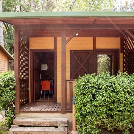 Taiga Bassegoda Park 5* Albanya