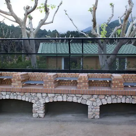 Taiga Bassegoda Park 5* Albanya