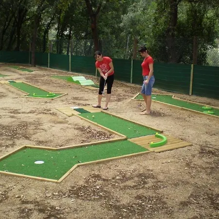 Taiga Bassegoda Park Camping Albanya